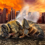 dead bee desolate city