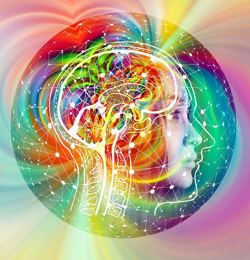 Chaos or at peace with the world: The complex ways psychedelics transform the brain
