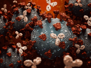 coronavirus antibodies immunity