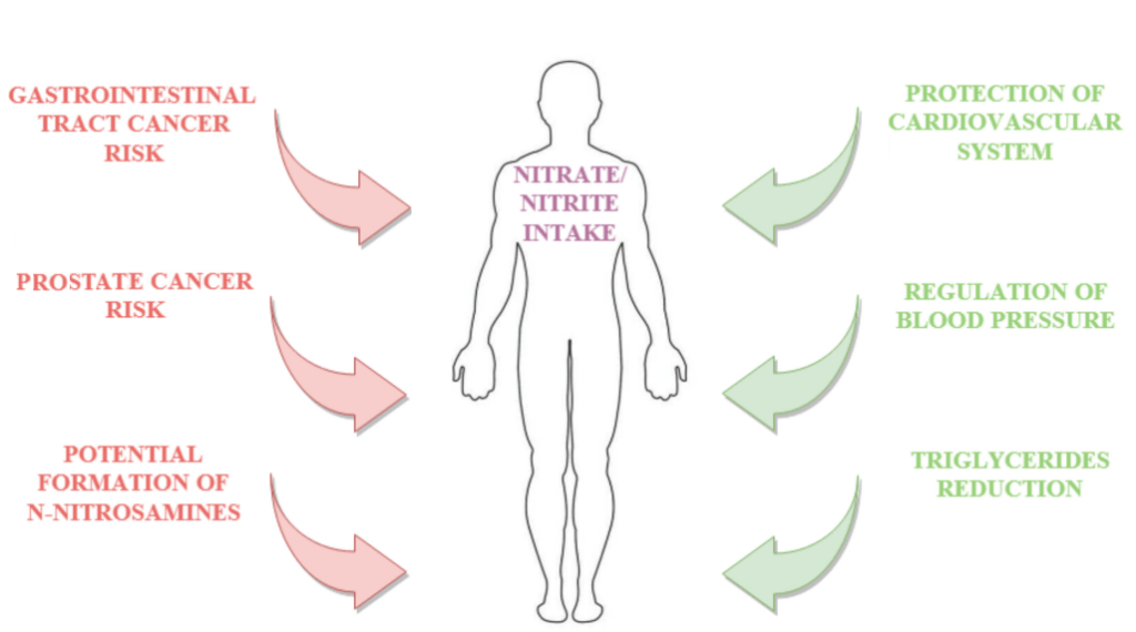 nitrate nitrite effects x