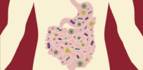 blog image of gut