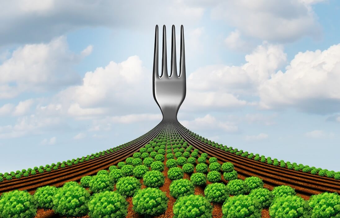 Viewpoint: Farm to Fork failure—How Europe's 'obsession' with organics ...