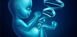 genetic testing before pregnancy