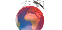 zika world