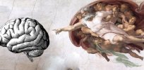 adam creation brain tsa x