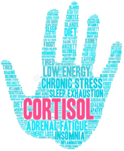 cortisol handcloud x
