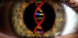 Gene therapy may be able to restore vision