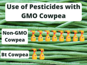 gmo cowpea pesticides x