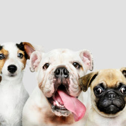 istock
