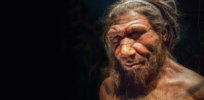 neanderthal p
