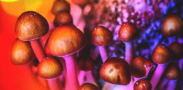 psychedelic mushrooms color x thumbnail