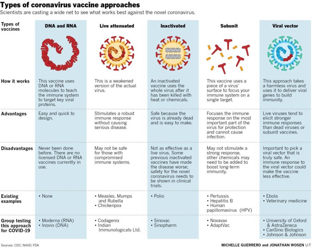 Infographic: 5 different ways COVID vaccines work - Genetic Literacy ...