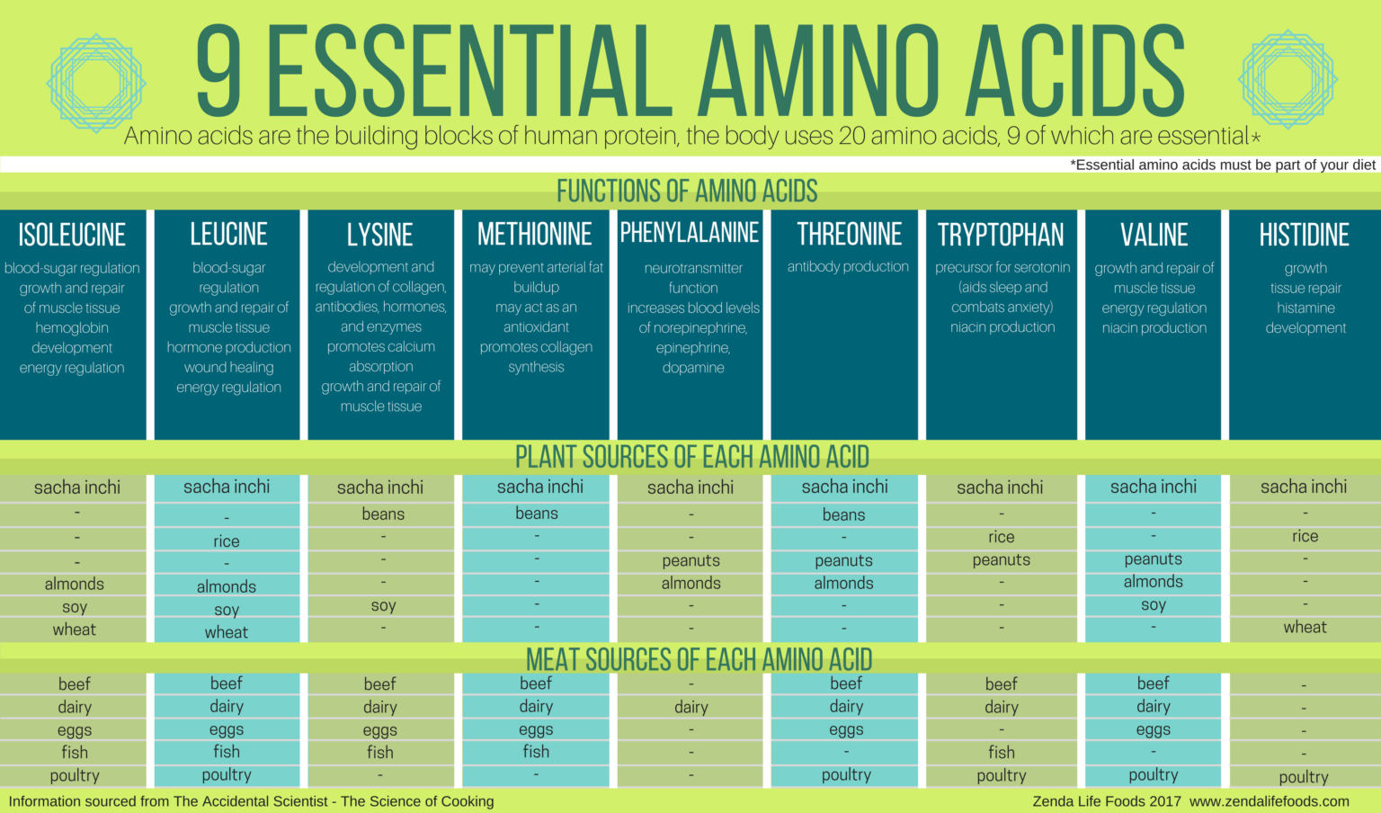 Does this mean vegans and vegetarians are not getting the amino acids they ...