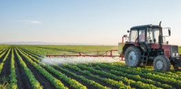 Social media misled you about pesticides. A farmer explains what they are and how they protect our food