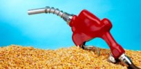 Viewpoint: The failure of corn-powered cars – How America’s ethanol subsidies boosted food prices and carbon emissions