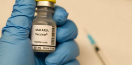 200 million people contract malaria each year. A genetically engineered vaccine might soon be coming