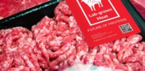 Lab-grown meat requires fewer farm inputs than livestock, but more energy. Is it really better for the planet?