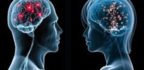 Men and women require distinct brain tumor therapies, underscoring hard-wired differences in the brain