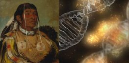 Many Americans have ‘Native American DNA’. What does that mean?