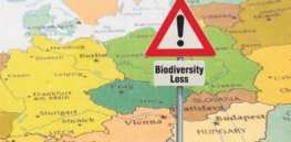Europe’s biodiversity faces grave threats, while pro-organic farm policies offer inadequate solutions