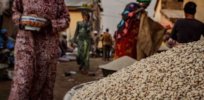 Ghana recognizes crop biotech as ‘vital tool’ in food security battle
