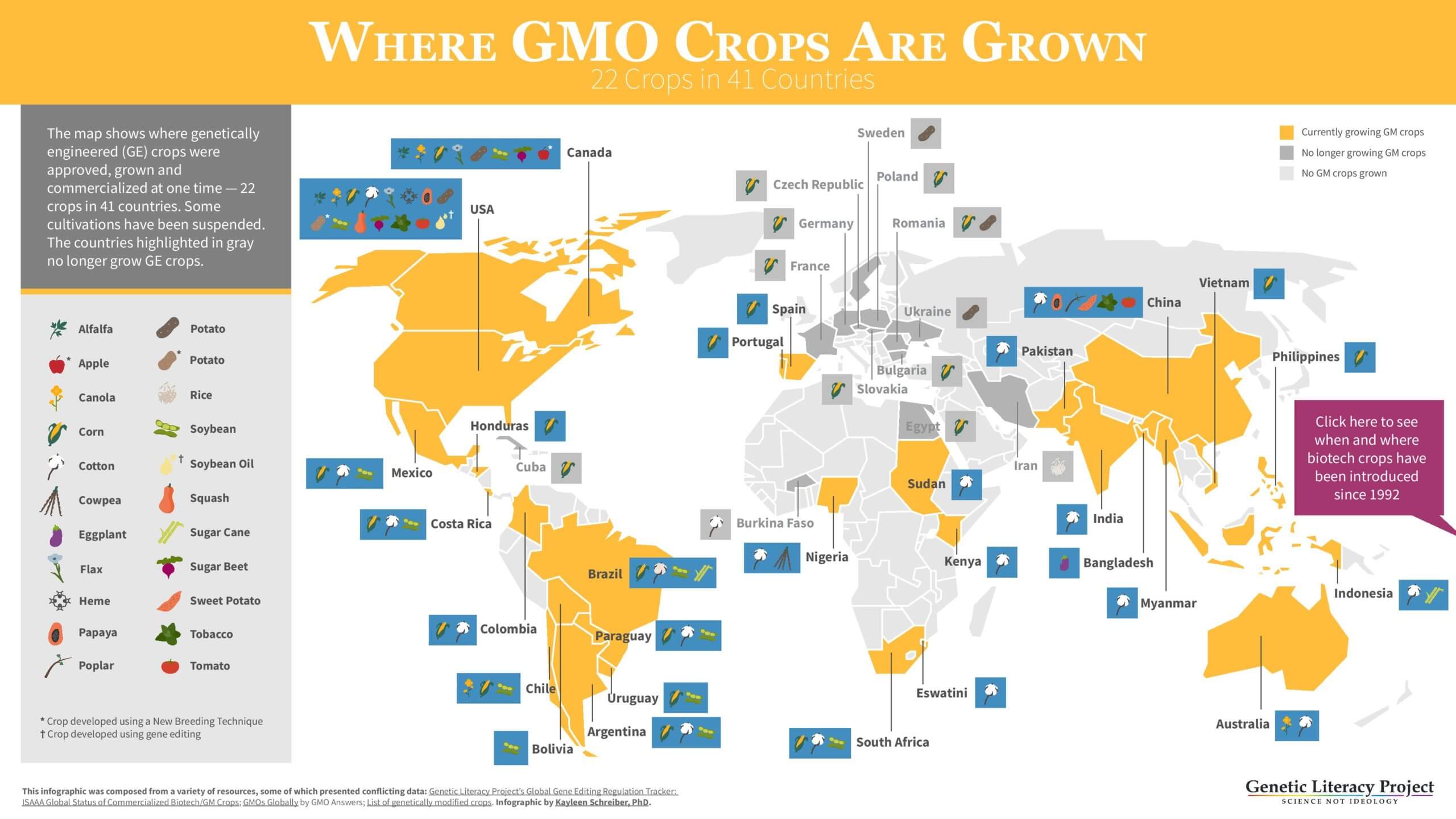 Where Are GMO Crops And Animals Approved And Banned Genetic Literacy   Where Gmo Crops Are Grown Glp Infographic Page  Scaled 