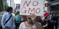 Viewpoint: Biotechnology gave us a COVID vaccine. Could that end the anti-GMO movement?