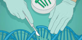 7,000 and counting – That’s how many diseases are linked to mutations that could be corrected with gene editing
