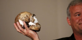 13 discoveries in 2020 that have transformed what we know about human evolution
