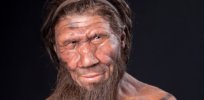How Neanderthal genes found in most non-Africans impact the health of modern humans