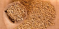 Calyxt gene-edited, heart-healthy soybeans help alleviate America's biggest soy shortage in years
