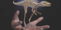 10 top dinosaur discoveries of 2020
