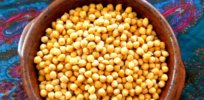 GM chickpea could halt drought-fueled yield declines
