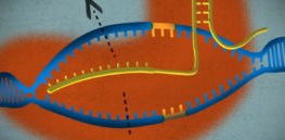 3 new ways CRISPR is revolutionizing biomedicine