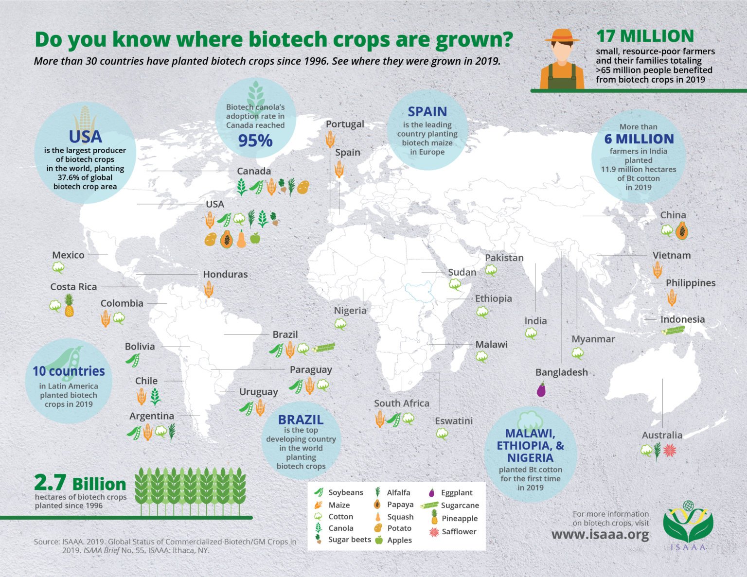 Infographic: Here’s where GM crops are grown around the world today ...