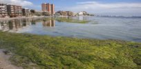 Microalgae could help remove nitrates, phosphates and herbicides from polluted waterways