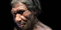 Neanderthals, COVID-19 and you: Exploring how our inherited genes are harming us and could have decimated our hominid ancestors