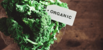 Viewpoint: Does organic food taste better? No, but deceptive marketing can make you think so