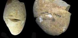 When did modern humans emerge? 350,000-year-old tool discovered in Israel may challenge date for debut of Homo sapiens
