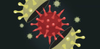 Here’s the skinny on the mutating coronavirus strains complicating the vaccine response