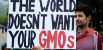Podcast: Debunking ‘dangerous’ anti-GMO misinformation that harms developing countries