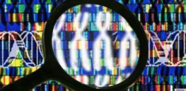 20 year anniversary of the mapping of the human genome: What does the future hold?