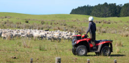 New Zealand farmers experience 25% lower cancer rates than city dwellers, study shows, challenging misleading environmentalist claim they face higher pesticide cancer risks