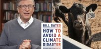Bill Gates under fire for urging wealthy countries to give up beef and switch to synthetic meat