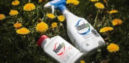 Bayer strikes $2 billion deal to settle future glyphosate-cancer suits