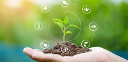 What's regenerative agriculture and what are its market prospects?