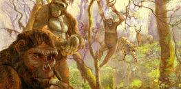 Our early human ancestors may have climbed trees and swung along branches like chimpanzees