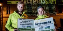 Glyphosate exit: Germany could ban weedkiller by 2024 to ‘preserve clean habitats for insects’