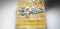 Organs on a chip? Device tracks Parkinson’s disease by modeling how the gut microbiome interacts with the brain, liver, and colon
