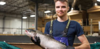 GM fish coming soon: Major US seafood wholesaler will carry AquaBounty’s AquAdvantage salmon
